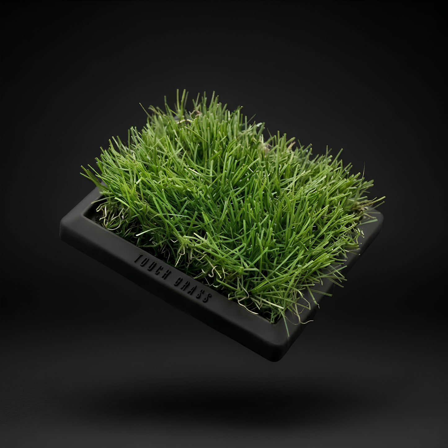 Artificial grass on a black pad with a dark background